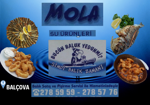 Mola Balık - Balçova 