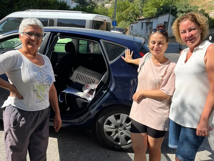 Kedi Dostu Narlıdere, Üç Mahallede Pati Peşinde